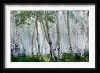 Up in the Clouds Fine Art Print