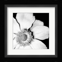 Sunburst IV Fine Art Print