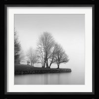 Fog and Trees at Dusk Fine Art Print
