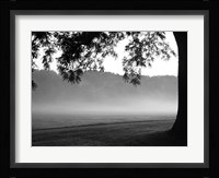 Fog in the Park I Fine Art Print