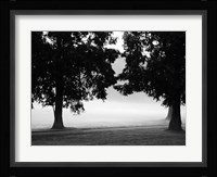Fog in the Park II Fine Art Print