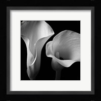 Softness II Framed Print