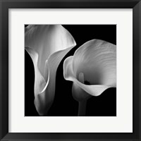 Softness II Framed Print