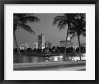 Night View Skyline With Palm Trees Miami Florida Fine Art Print