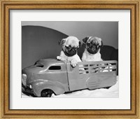 Pug Puppies Sitting In Back Of Toy Truck Fine Art Print