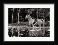 In the Wilderness Fine Art Print