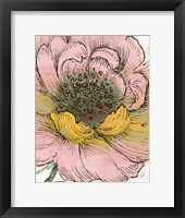 Blossom Sketches III Pink Crop Fine Art Print