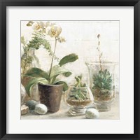 Greenhouse Orchids on Shiplap III Framed Print