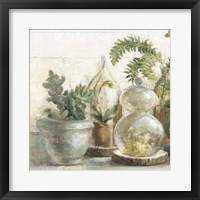 Greenhouse Orchids on Shiplap II Framed Print
