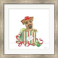 Holiday Paws II on White No Words Fine Art Print