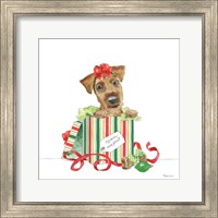 Holiday Paws II on White No Words Fine Art Print