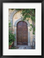 Venice Doorway Framed Print