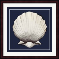 Coastal Shell II with Border Navy Fine Art Print