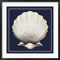 Coastal Shell II with Border Navy Fine Art Print