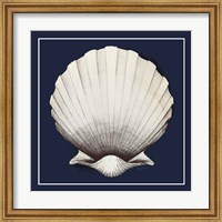 Coastal Shell II with Border Navy Fine Art Print