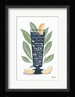 Fruity Cocktails II Framed Print