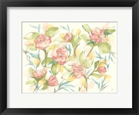 Blush Camellias Fine Art Print