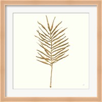 Gilded Palm VI Fine Art Print