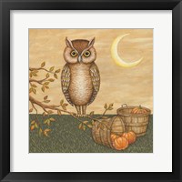 Halloween Owl Framed Print