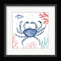 Coastal Jewels V Coral Cove Framed Print