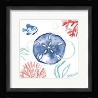 Coastal Jewels IV Coral Cove Fine Art Print