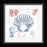 Coastal Jewels III Coral Cove Framed Print