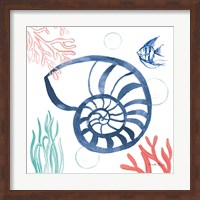 Coastal Jewels I Coral Cove Fine Art Print