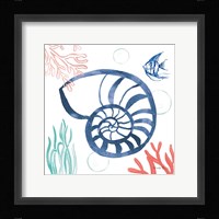 Coastal Jewels I Coral Cove Framed Print