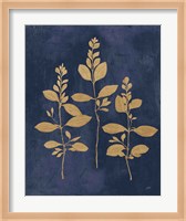 Botanical Study IV Gold Navy Fine Art Print
