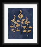 Botanical Study IV Gold Navy Framed Print