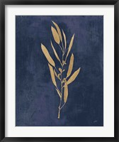 Botanical Study I Gold Navy Fine Art Print