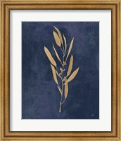 Botanical Study I Gold Navy Fine Art Print