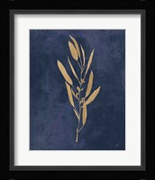 Botanical Study I Gold Navy Framed Print