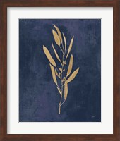 Botanical Study I Gold Navy Fine Art Print