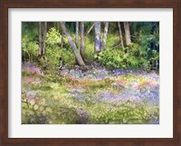 Springtime Woods Fine Art Print