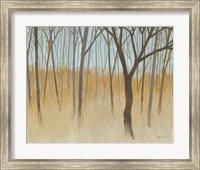 Misty Woods Fine Art Print