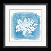 Water Coral Cove VI Framed Print