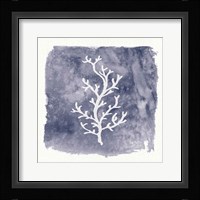 Water Coral Cove IV Framed Print