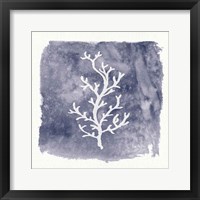 Water Coral Cove IV Framed Print