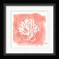 Water Coral Cove III Framed Print