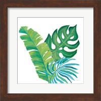 Coconut Palm VII Fine Art Print