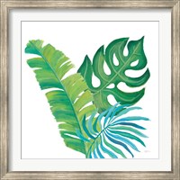 Coconut Palm VII Fine Art Print