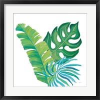 Coconut Palm VII Framed Print