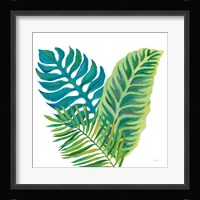 Coconut Palm VI Framed Print