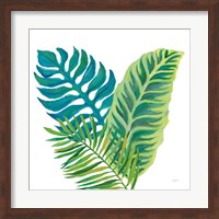 Coconut Palm VI Fine Art Print