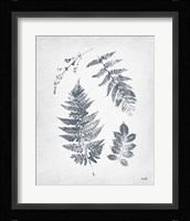 Walk in the Woods I Framed Print