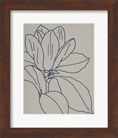 Magnolia Line Drawing v2 Gray Crop Fine Art Print