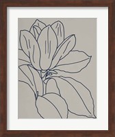Magnolia Line Drawing v2 Gray Crop Fine Art Print