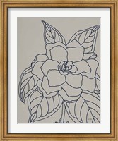 Gardenia Line Drawing Gray Crop Fine Art Print