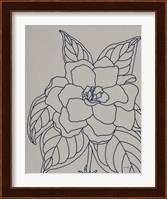 Gardenia Line Drawing Gray Crop Fine Art Print
